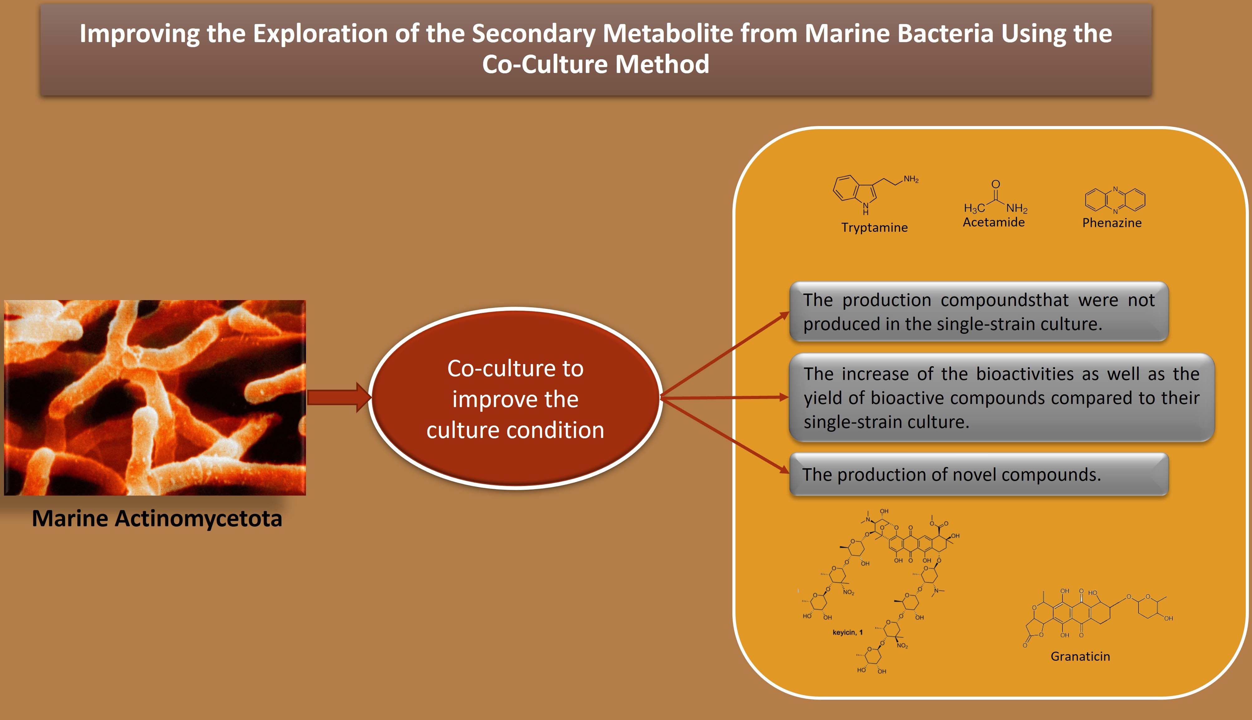 Graphical Abstract